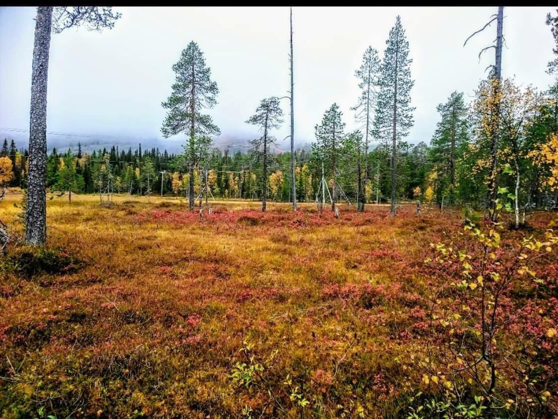 Villa Karhuntaehti ルオスト エクステリア 写真
